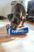 Personalized Ceramic Pet Bowl – Custom Name Dog & Cat Food Bowl
